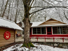 Beary Relaxing Cabin - Rustic with Outdoor Patio